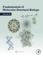 Fundamentals of Molecular Structural Biology