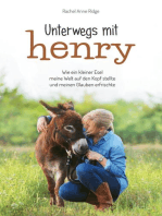 Unterwegs mit Henry