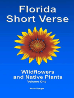 Florida Short Verse: Wildflowers and Native Plants, #1