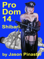 Pro Dom 14 Shibari