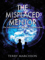 The Misplaced Mentor