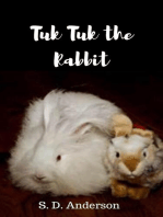 Tuk-Tuk the Rabbit