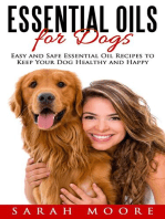 Essential Oils for Dogs