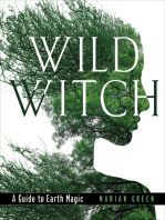 Wild Witch