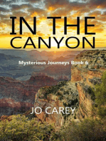 In the Canyon: Mysterious Journeys, #6