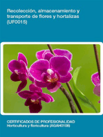 UF0015 - Recolección, almacenamiento y transporte de flores y hortalizas