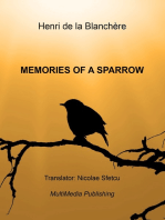 Memories of a Sparrow