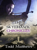The Skyehawk Chronicles: Neo Skyehawk, #1