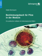Bestimmungsbuch für Pilze in der Medizin: Ein praktischer Leitfaden mit mikroskopischen Bildern