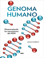 Genoma humano: Desentrañando los mecanismos del ADN