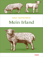 Mein Irland