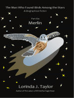 The Man Who Found Birds among the Stars, Part Six: Merlin