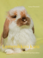 Lemmikkini kani