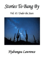 Stories To Bang By, Vol. 43
