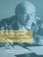 Karl Polanyi's Political and Economic Thought: A Critical Guide