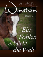 Winston - Ein Fohlen erblickt die Welt
