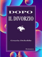 Dopo il divorzio. Romanzo