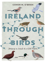 Ireland Through Birds: Journeys in Search of a Wild Nation