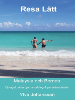 Resa Lätt Malaysia och Borneo: Djungel, vilda djur, snorkling & paradisstränder