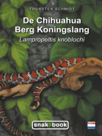 De Chihuahua Berg Koningslang: Lampropeltis knoblochi