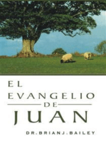 El evangelio de Juan