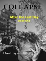 Collapse: After the Last Day Book One