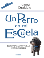 Un perro en mi escuela: Nuestras aventuras con Doodles