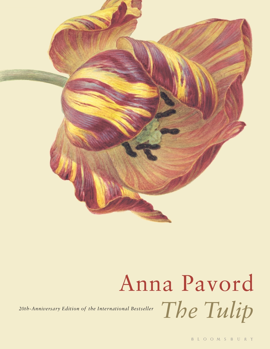 The Tulip by Anna Pavord picture