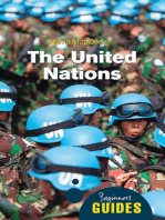 The United Nations: A Beginner's Guide