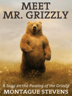 Meet Mr. Grizzly: A Saga on the Passing of the Grizzly