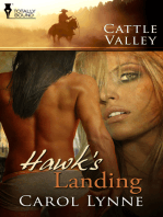 Hawk's Landing