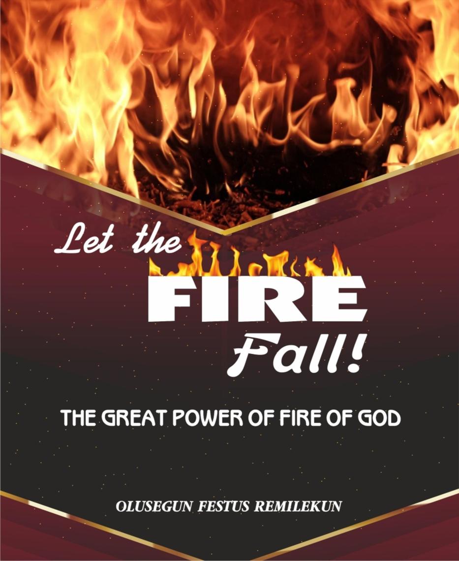 LET THE FIRE FALL by Olusegun Festus Remilekun (Ebook) - Read free for ...