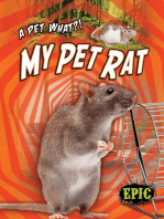 My Pet Rat