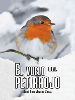 El vuelo del petirrojo