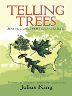 Telling Trees: An Illustrated Guide