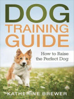 Dog Training Guide: How to Raise the Perfect Dog