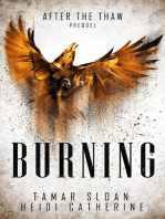 Burning: Prequel, After the Thaw: After the Thaw