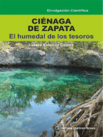 Ciénaga de Zapata: El humedal de los Tesoros