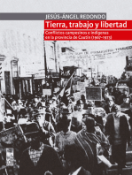 Tierra, trabajo y libertad: Conflictos campesinos e indígenas en la provincia de Cautín (1967-1973)