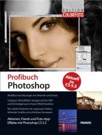 Profibuch Photoshop CS 5.5: Aktionen, Panels und Foto-App- Effekte mit Photoshop CS 5.5