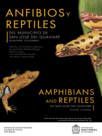 Anfibios y reptiles del municipio de San José del Guaviare (Guaviare, Colombia): Guía de Campo del Instituto de Ciencias Naturales n.º 24
