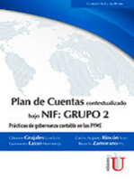 Plan de Cuentas bajo NIF: Grupo 2: Prácticas de gobernanza contable en las PYME