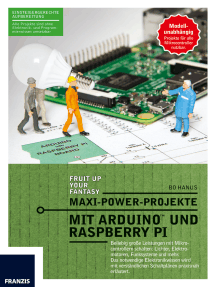 Maxi-Power-Projekte mit Arduino und Raspberry Pi: Beliebig große Leistungen mit Mikrocontrollern schalten: Lichter, Elektromotoren, Funksysteme und mehr. Das notwendige Elektronikwissen wird mit verständlichen Schaltplänen praxisnah erläutert.