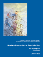 Sozialpädagogische Praxisfelder: Ein Praxisbuch zur Berufs- und Institutionskunde für Sozialpädagogische Berufe
