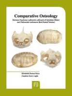 Comparative Osteology: Between Trachemys callirostris callirostris (Colombian Slider) and Chelonoidis carbonaria (Red-Footed Tortoise)