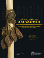 Política y poder en la Amazonia: Estrategias de los pueblos indígenas en los nuevos escenarios de los países andinos