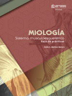 Miología: sistema musculoesquelético: Guía de prácticas