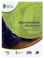 Manejo fitosanitario del cultivo de gulupa (Passiflora edulis Sims.): Medidas para la temporada invernal