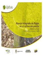 Manejo integrado de plagas en el cultivo del caucho (Hevea brasiliensis) medidas para la temporada invernal