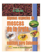 Algunas especies de moscas de la fruta, exóticas para Colombia